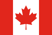 CVE Flag